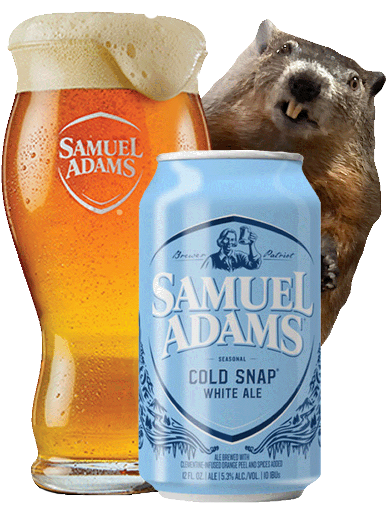 Cold Snap Pint Groundhog